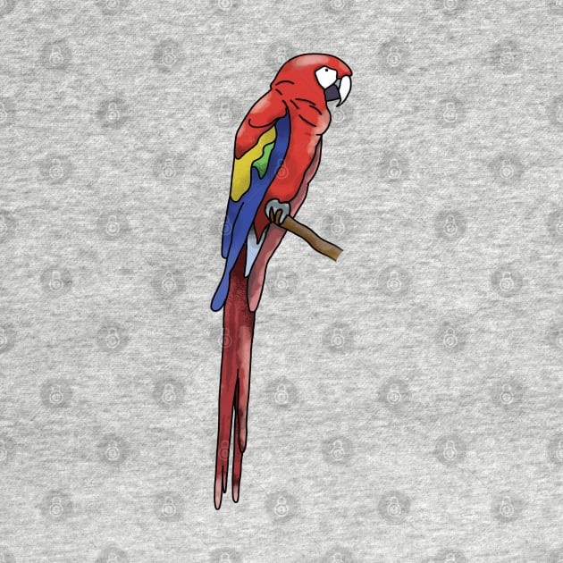 Macaw Design by McNutt